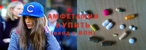 гидра Надым