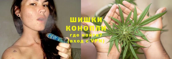 гидра Надым