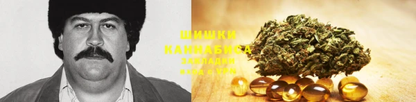 спайс Бежецк