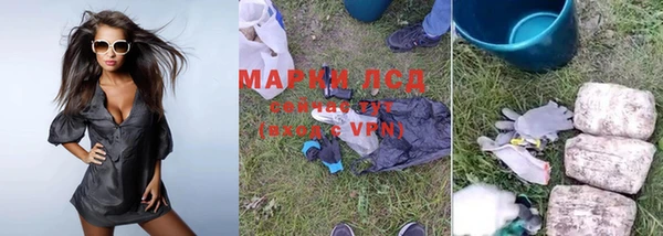 гидра Надым