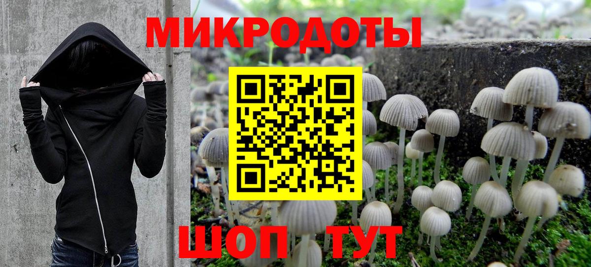 Псилоцибиновые грибы мухоморы Кохма