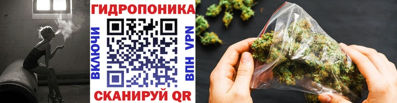 где купить   hydra ССЫЛКА  Бошки Шишки планчик  Кохма 
